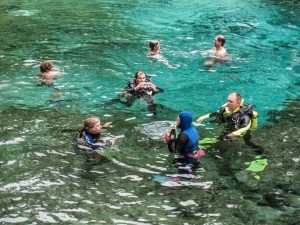 Divers At Ginnie Springs
