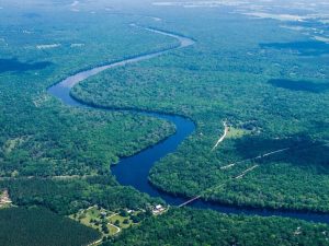Suwannee River From Above